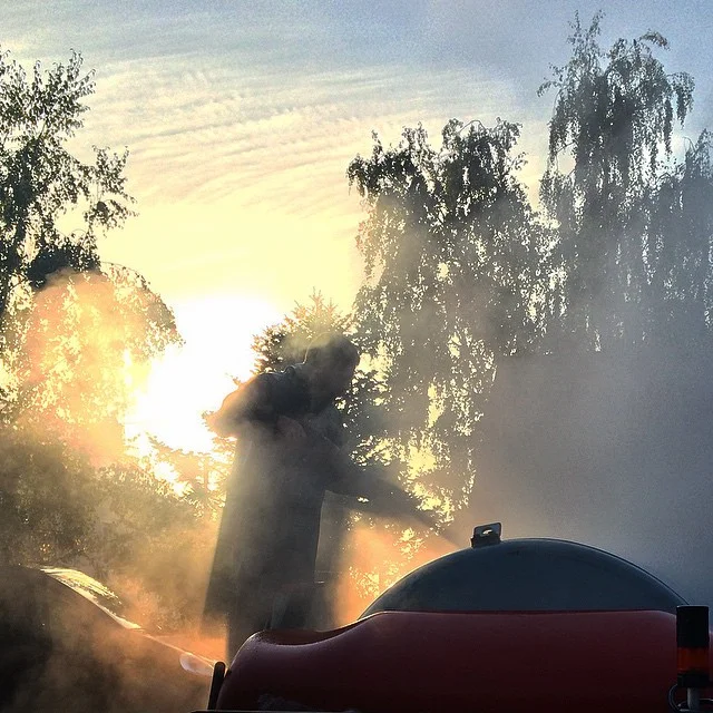 Vendanges 2014