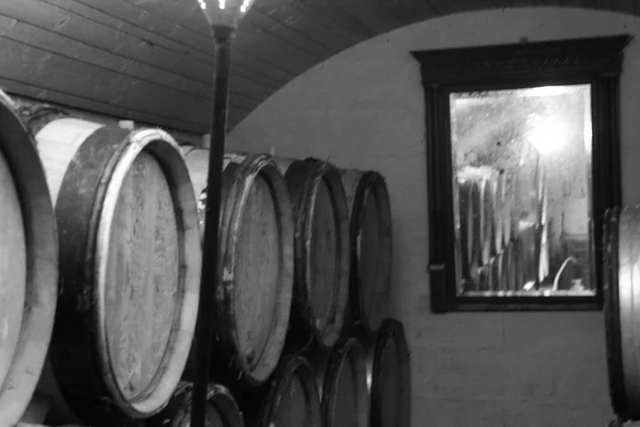 Vendanges 2008