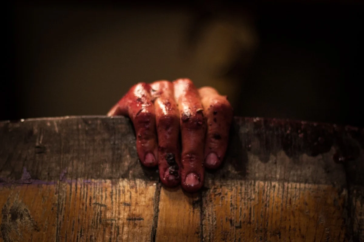 Vendanges 2016