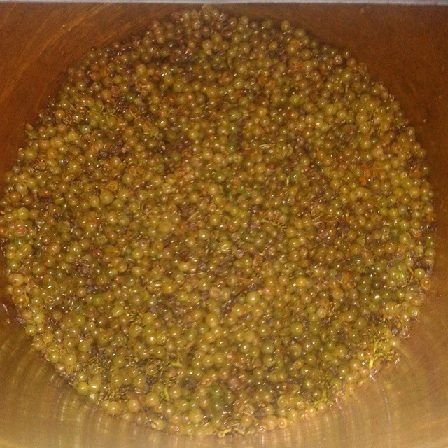 Vendanges 2014
