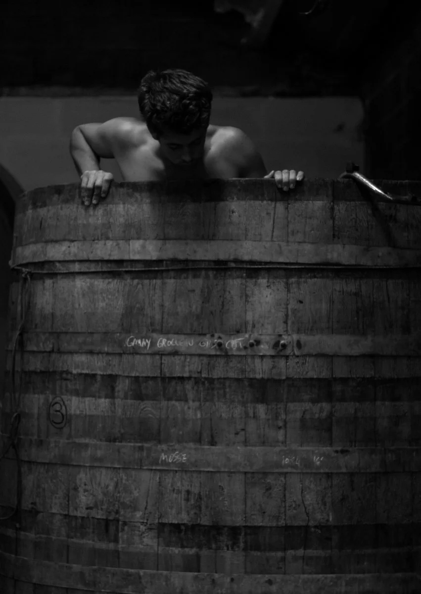 Vendanges 2016
