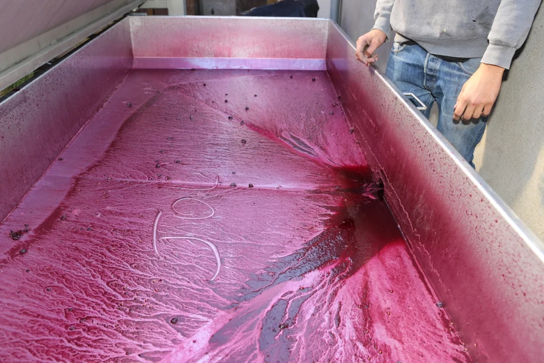 Vendanges 2015