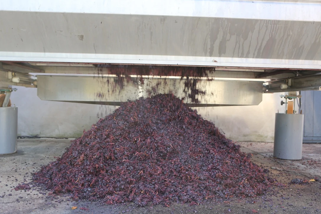 Vendanges 2015