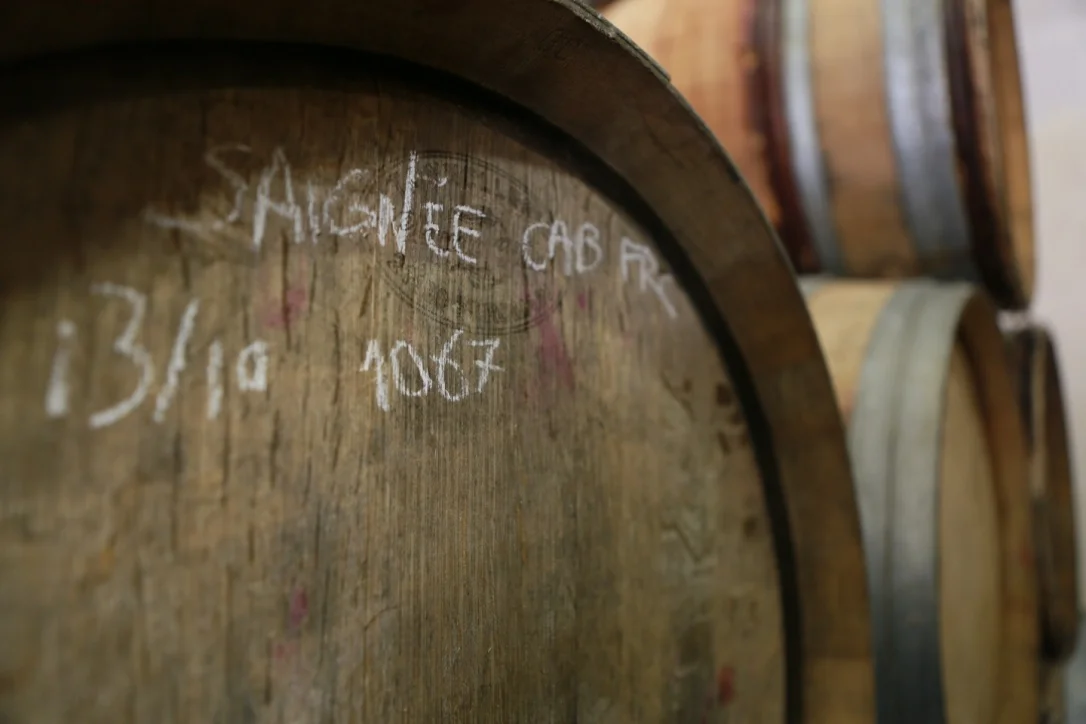 Vendanges 2015
