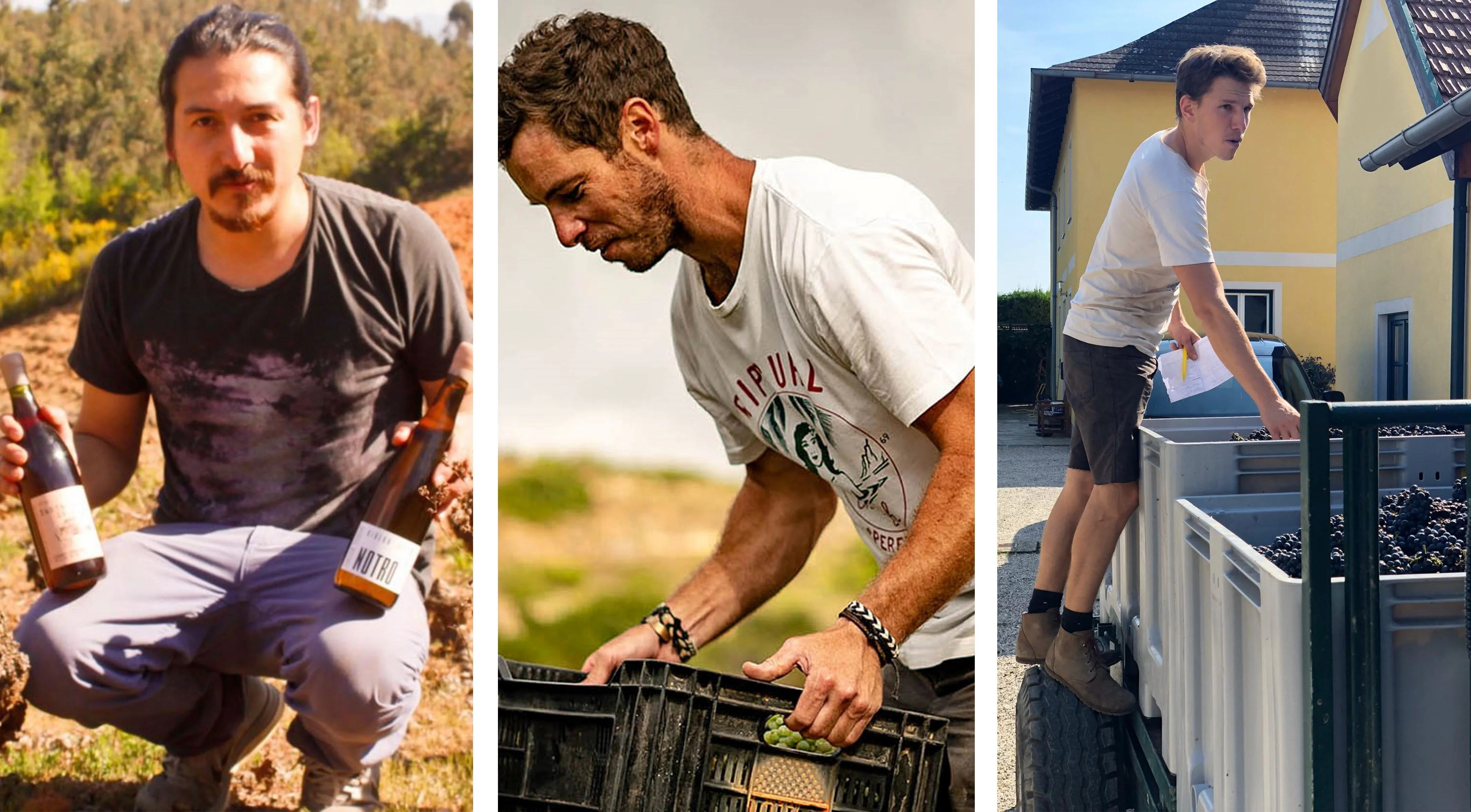 Vignerons vins étrangers
