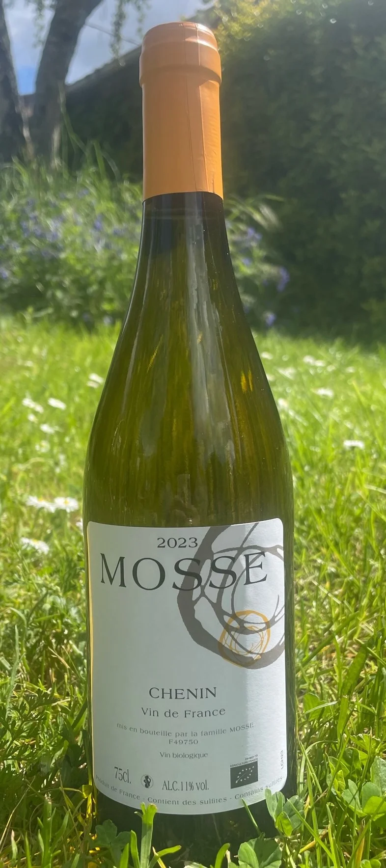 Chenin