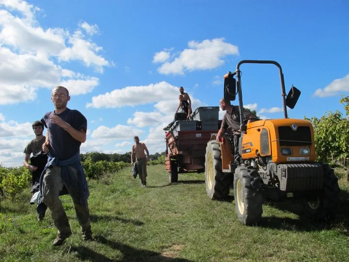 IMG-0332