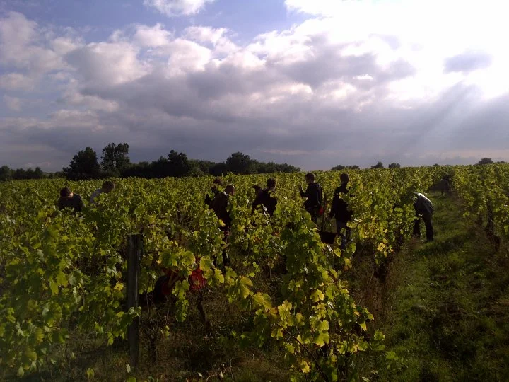 IMG-20131012-00031