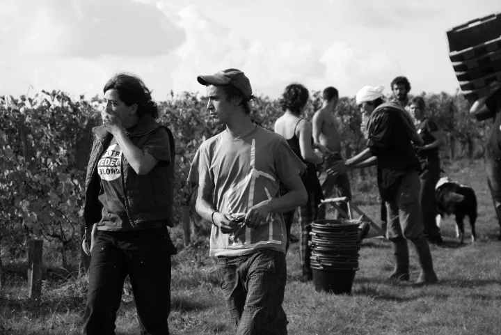 IMG-8091-kf