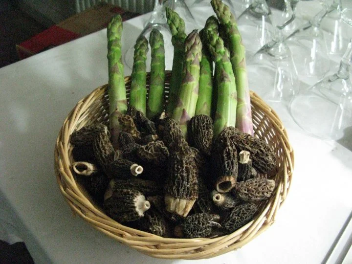 asperge-et-truffes